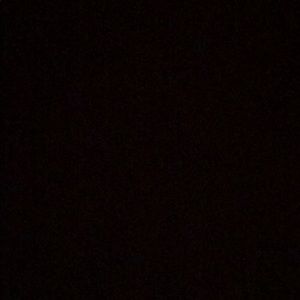 Meet your Posher, Ross